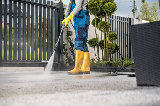 Best Fence Cleaning and Maintenance in Elberton, GA